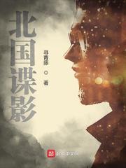 北国谍影2