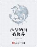 法爷有csm吗