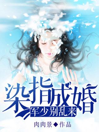 染指军婚是不是双男主文